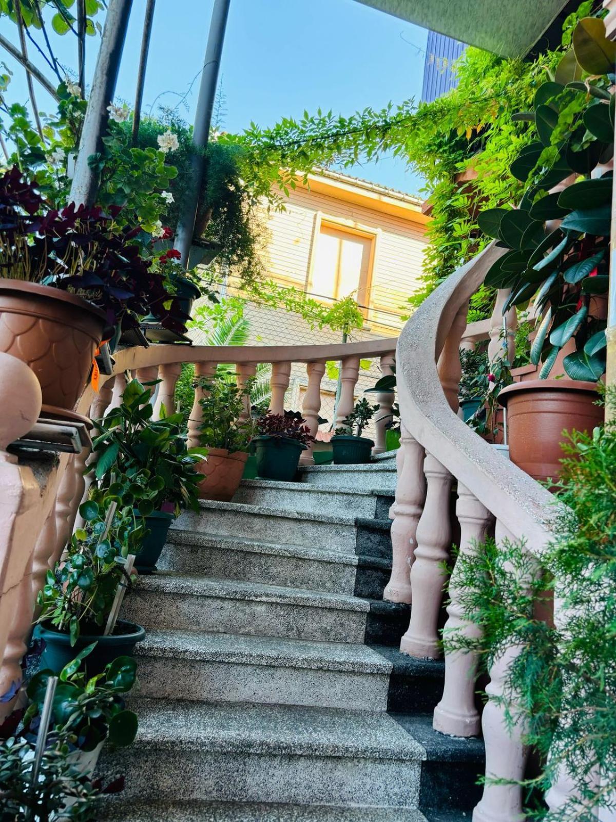 Nikas Guest House Batum Dış mekan fotoğraf